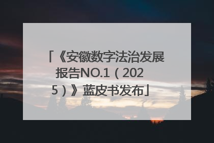 《安徽数字法治发展报告NO.1（2025）》蓝皮书发布