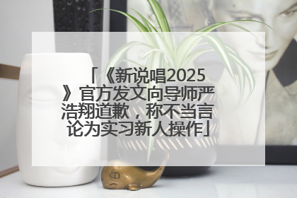 《新说唱2025》官方发文向导师严浩翔道歉，称不当言论为实习新人操作