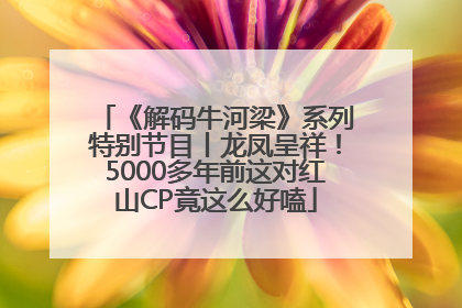 《解码牛河梁》系列特别节目丨龙凤呈祥！5000多年前这对红山CP竟这么好嗑