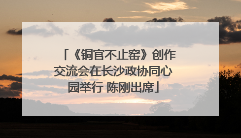 《铜官不止窑》创作交流会在长沙政协同心园举行 陈刚出席