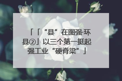 「“县”在图强·环县②」以三个第一挺起强工业“硬脊梁”