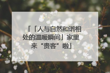 「人与自然和谐相处的温暖瞬间」家里来“贵客”啦