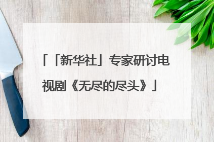 「新华社」专家研讨电视剧《无尽的尽头》