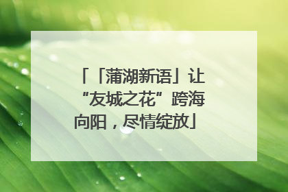 「蒲湖新语」让“友城之花”跨海向阳，尽情绽放
