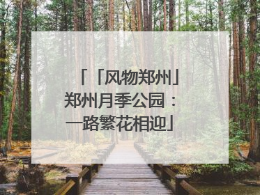 「风物郑州」郑州月季公园：一路繁花相迎