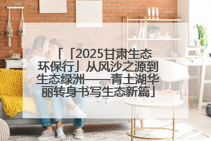 「2025甘肃生态环保行」从风沙之源到生态绿洲——青土湖华丽转身书写生态新篇
