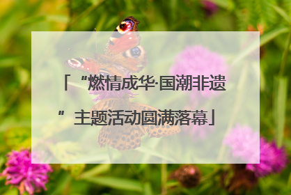 “燃情成华·国潮非遗”主题活动圆满落幕