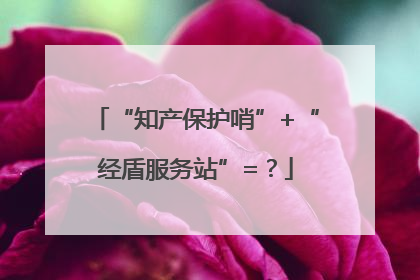 “知产保护哨”+“经盾服务站”=？