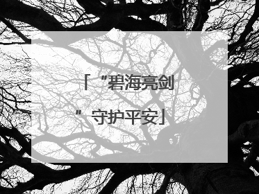 “碧海亮剑”守护平安