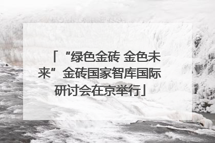 “绿色金砖 金色未来”金砖国家智库国际研讨会在京举行