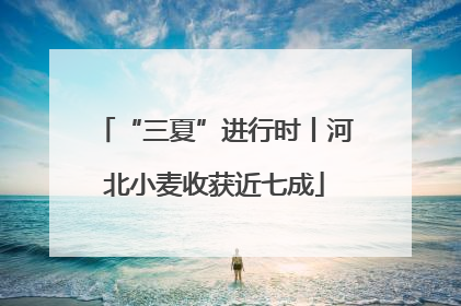 “三夏”进行时丨河北小麦收获近七成