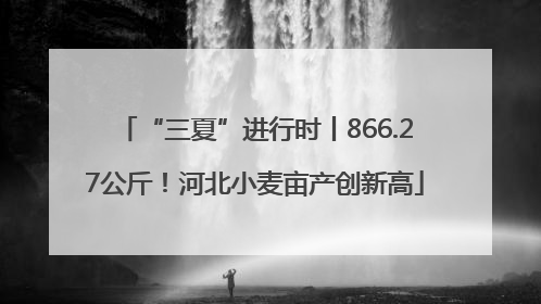 “三夏”进行时丨866.27公斤！河北小麦亩产创新高