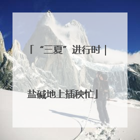 “三夏”进行时｜盐碱地上插秧忙