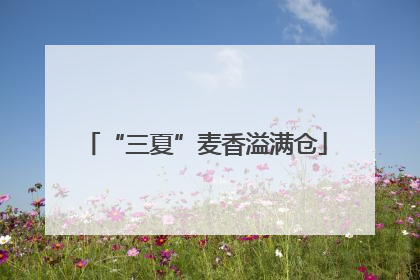 “三夏”麦香溢满仓