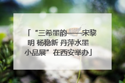 “三希墨韵——宋黎明 杨稳新 丹萍水墨小品展”在西安举办