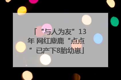 “与人为友”13年 网红麋鹿“点点”已产下8胎幼崽
