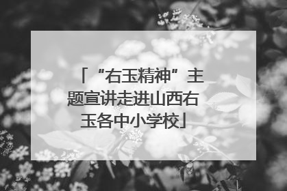 “右玉精神”主题宣讲走进山西右玉各中小学校