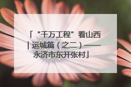 “千万工程”看山西｜运城篇（之二）——永济市东开张村
