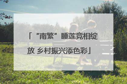 “南繁”睡莲竞相绽放 乡村振兴添色彩