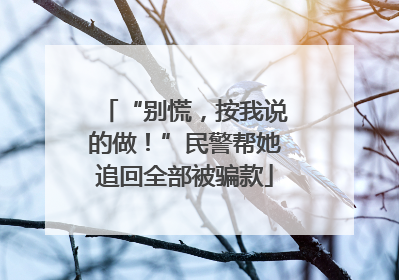 “别慌，按我说的做！”民警帮她追回全部被骗款