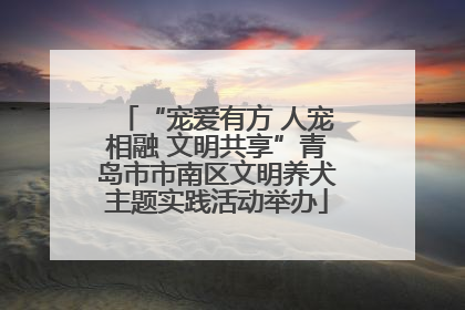 “宠爱有方 人宠相融 文明共享”青岛市市南区文明养犬主题实践活动举办