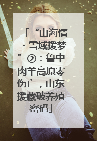 “山海情・雪域援梦”②：鲁中肉羊高原零伤亡，山东援藏破养殖密码