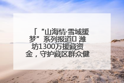 “山海情·雪域援梦”系列报道⑪ 潍坊1300万援藏资金，守护藏区群众健康“最后一公里”