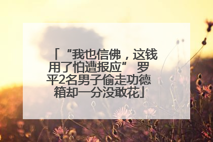 “我也信佛，这钱用了怕遭报应” 罗平2名男子偷走功德箱却一分没敢花