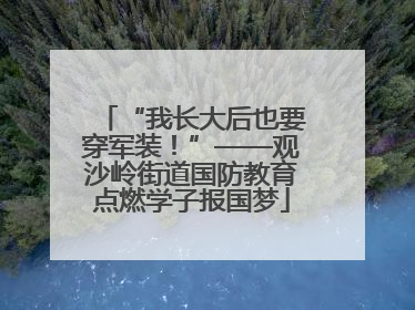 “我长大后也要穿军装！”——观沙岭街道国防教育点燃学子报国梦