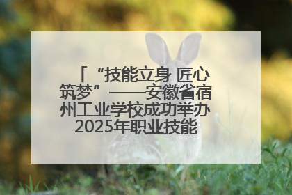 “技能立身 匠心筑梦”——安徽省宿州工业学校成功举办2025年职业技能活动周各项活动