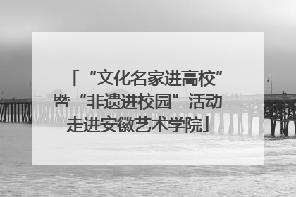 “文化名家进高校”暨“非遗进校园”活动走进安徽艺术学院