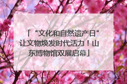 “文化和自然遗产日”让文物焕发时代活力！山东博物馆双展启幕
