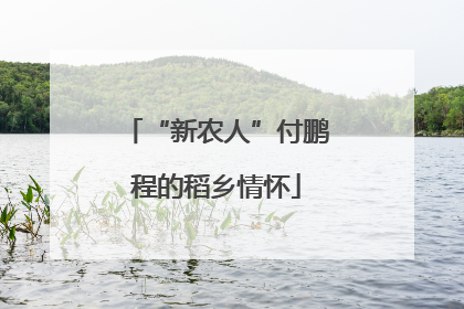 “新农人”付鹏程的稻乡情怀