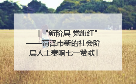 “新阶层 党旗红”——菏泽市新的社会阶层人士奏响七一赞歌
