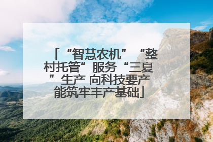 “智慧农机”“整村托管”服务“三夏”生产 向科技要产能筑牢丰产基础