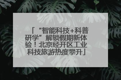 “智能科技+科普研学”解锁假期新体验！北京经开区工业科技旅游热度攀升
