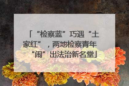 “检察蓝”巧遇“土家红”，两地检察青年“闹”出法治新名堂