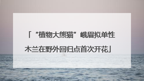 “植物大熊猫”峨眉拟单性木兰在野外回归点首次开花
