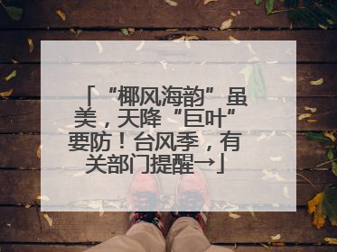 “椰风海韵”虽美，天降“巨叶”要防！台风季，有关部门提醒→