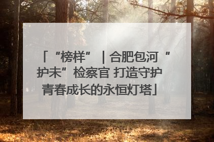 “榜样”｜合肥包河“护未”检察官 打造守护青春成长的永恒灯塔