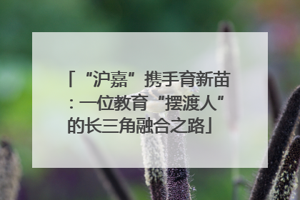 “沪嘉”携手育新苗：一位教育“摆渡人”的长三角融合之路