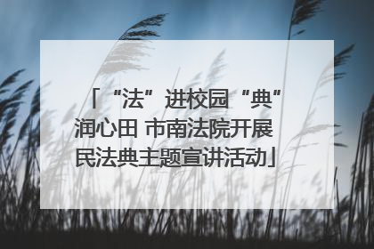 “法”进校园“典”润心田 市南法院开展民法典主题宣讲活动