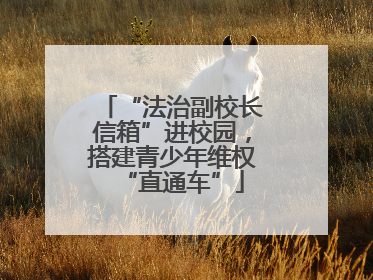 “法治副校长信箱”进校园，搭建青少年维权“直通车”