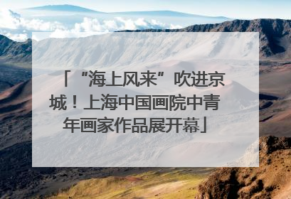 “海上风来”吹进京城！上海中国画院中青年画家作品展开幕
