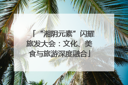 “湘阴元素”闪耀旅发大会：文化、美食与旅游深度融合
