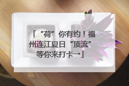 “荷”你有约！福州连江夏日“顶流”等你来打卡→