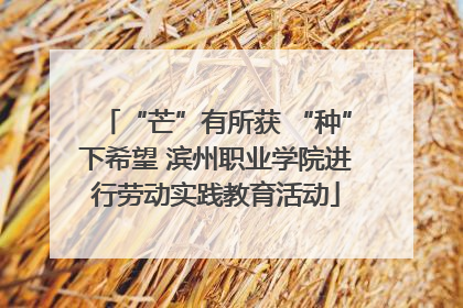 “芒”有所获 “种”下希望 滨州职业学院进行劳动实践教育活动