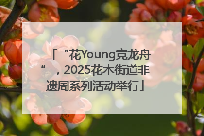 “花Young竞龙舟”，2025花木街道非遗周系列活动举行