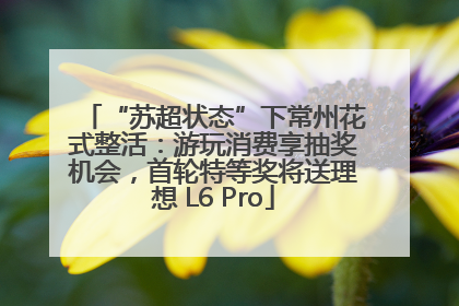 “苏超状态”下常州花式整活：游玩消费享抽奖机会，首轮特等奖将送理想 L6 Pro