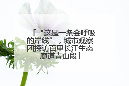 “这是一条会呼吸的岸线”，城市观察团探访百里长江生态廊道青山段